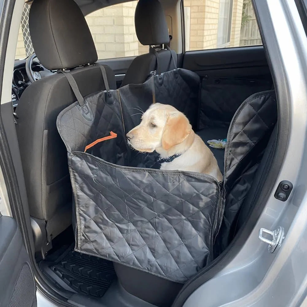 Pet Back Seat Cover
