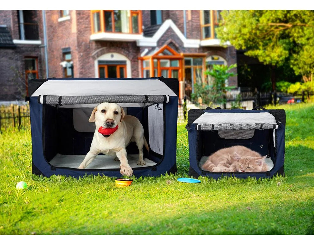 Pawz Pet Carrier Bag for Cats & Dogs