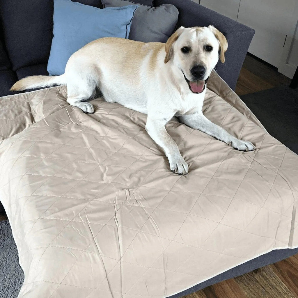 Washable Pee Pads for Dog - Reusable Mat