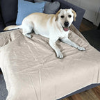 Washable Pee Pads for Dog - Reusable Mat