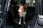 Pet Back Seat Cover