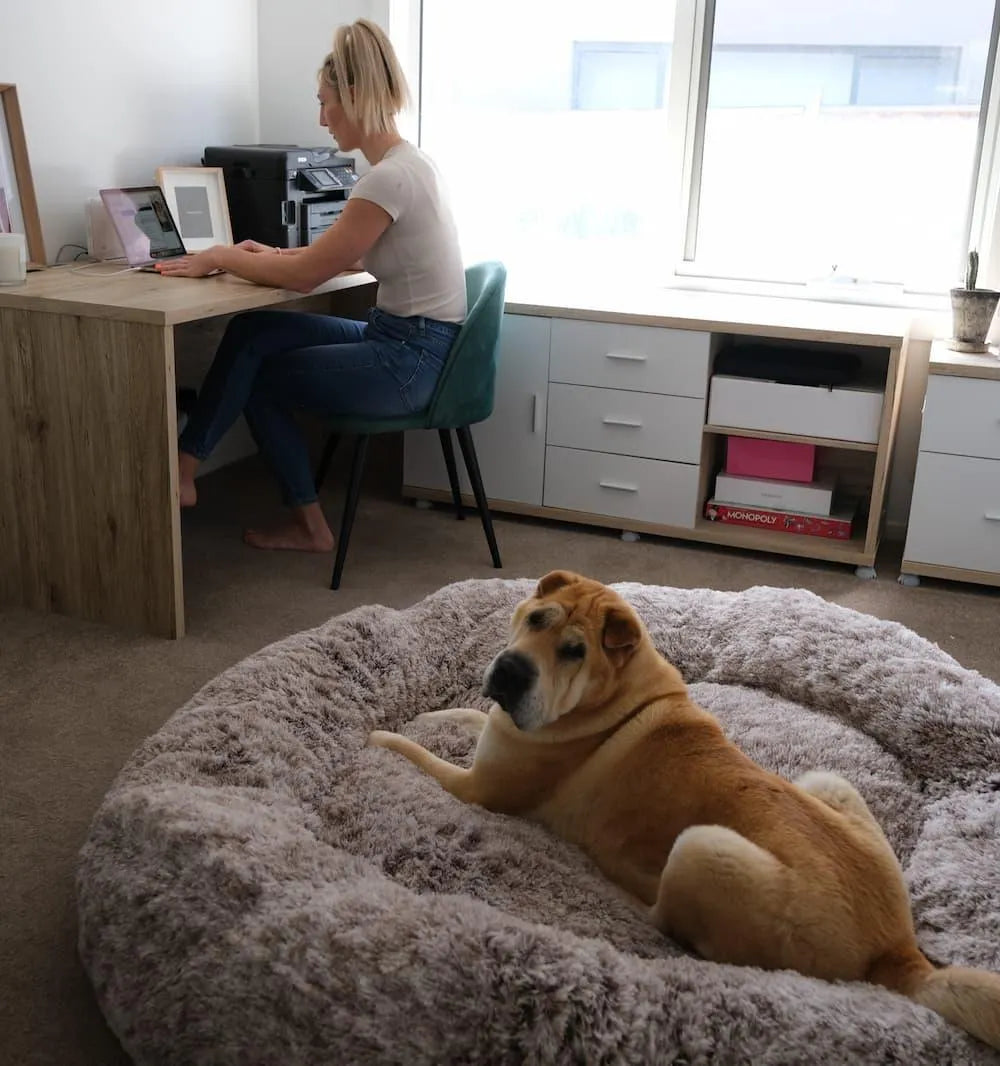 The Human Size Nap Bed