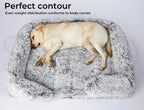 Pet Orthopaedic Bed