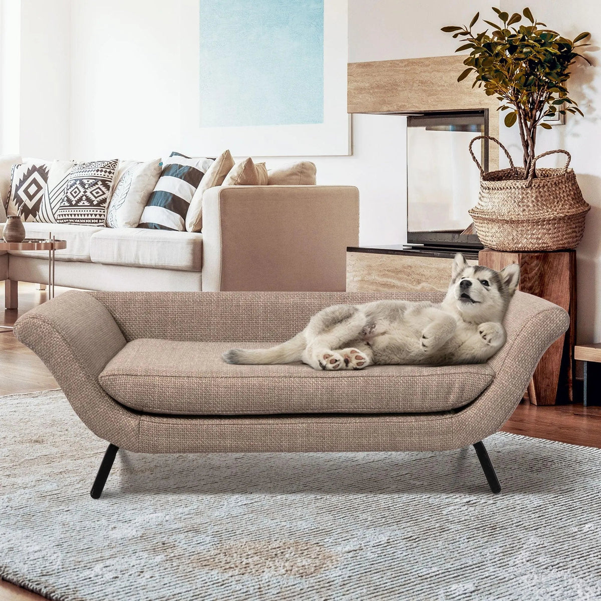 Raised Dog Lounge Bed – Elevated Sofa Style