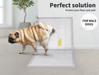 Disposable Dog Pee Mat
