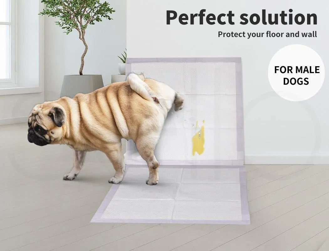 Disposable Dog Pee Mat