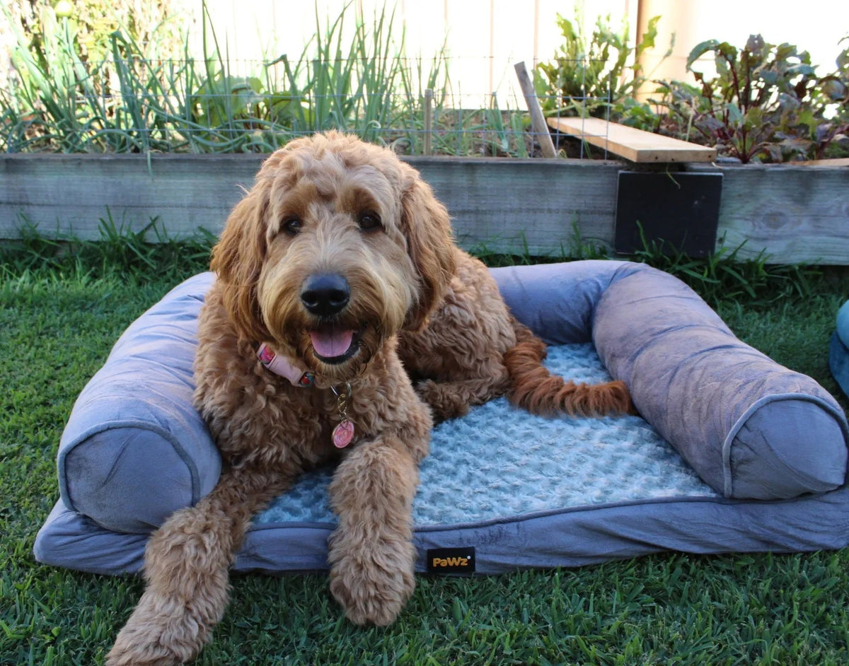 Pet Sofa Bed