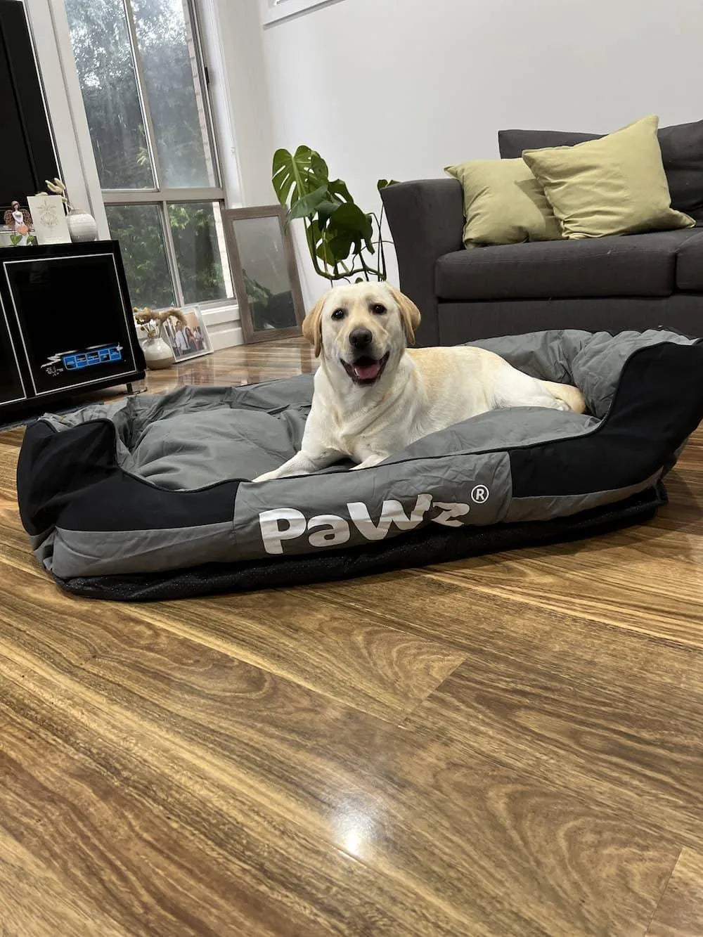Outdoor Waterproof Heavy Duty Dog Bed