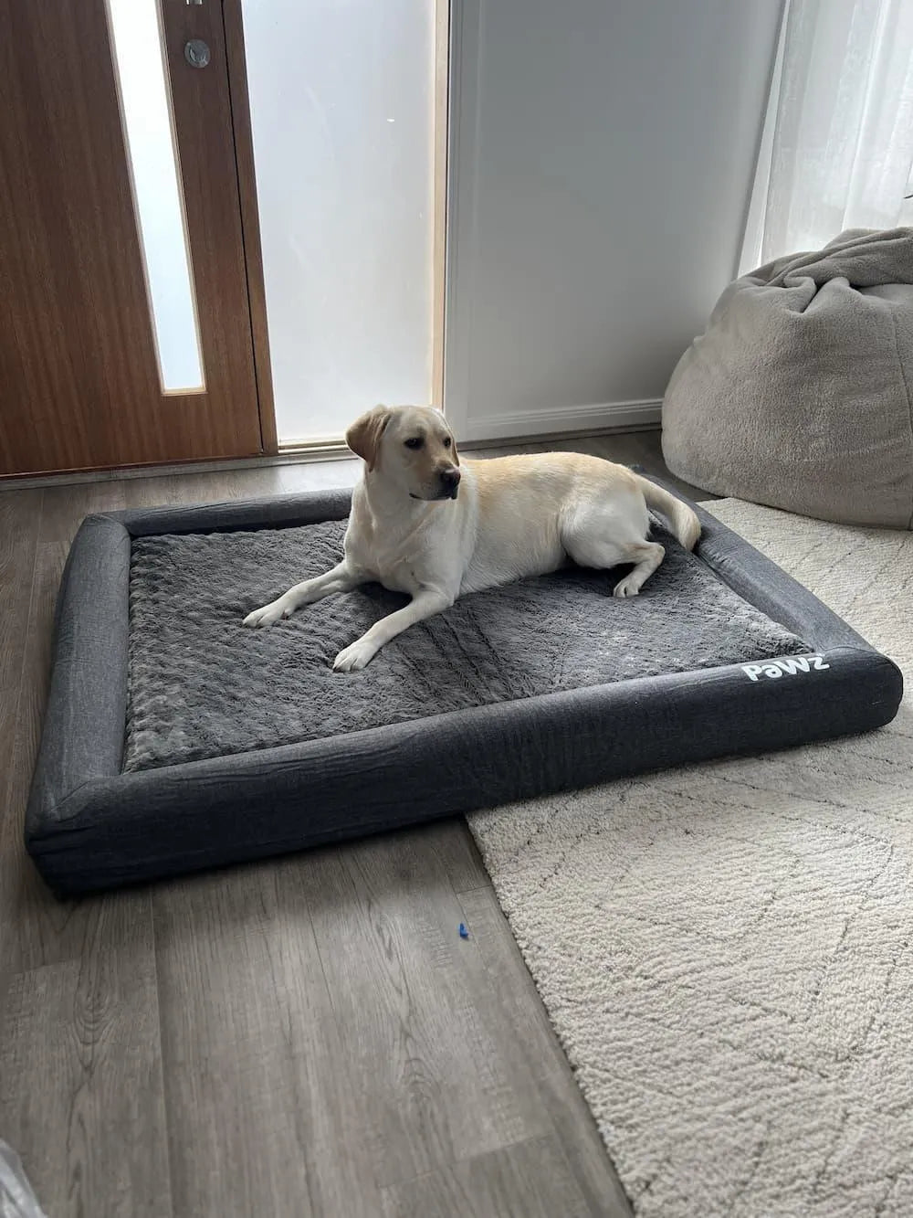 Premium Memory Foam Calming Dog Bed