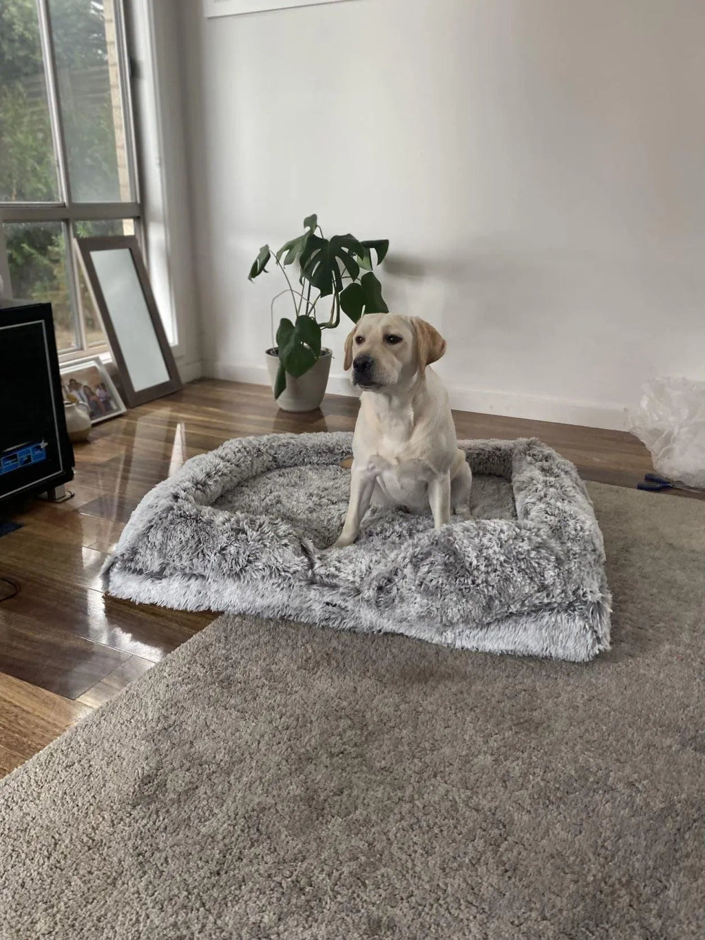 Pet Orthopaedic Bed