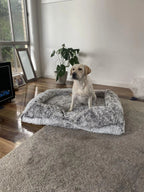 Pet Orthopaedic Bed