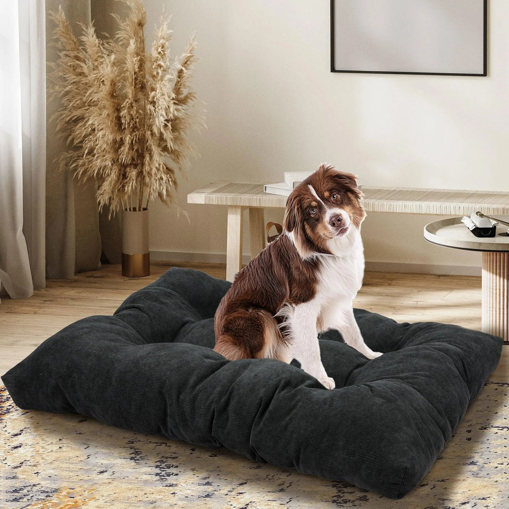 Pet Calming Cushion Dog Bed