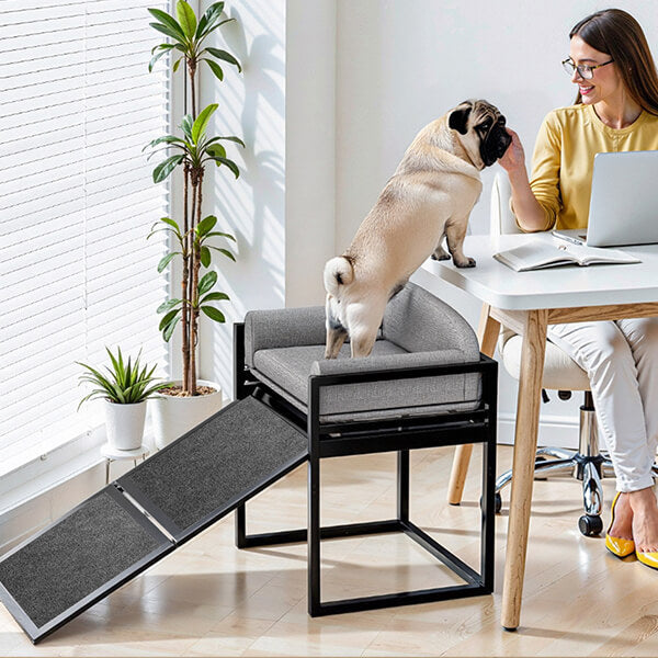 Elevated Pet Sofa Bed with Stairs Ramp for Bed Bedside Lounge or Dog Window Perch