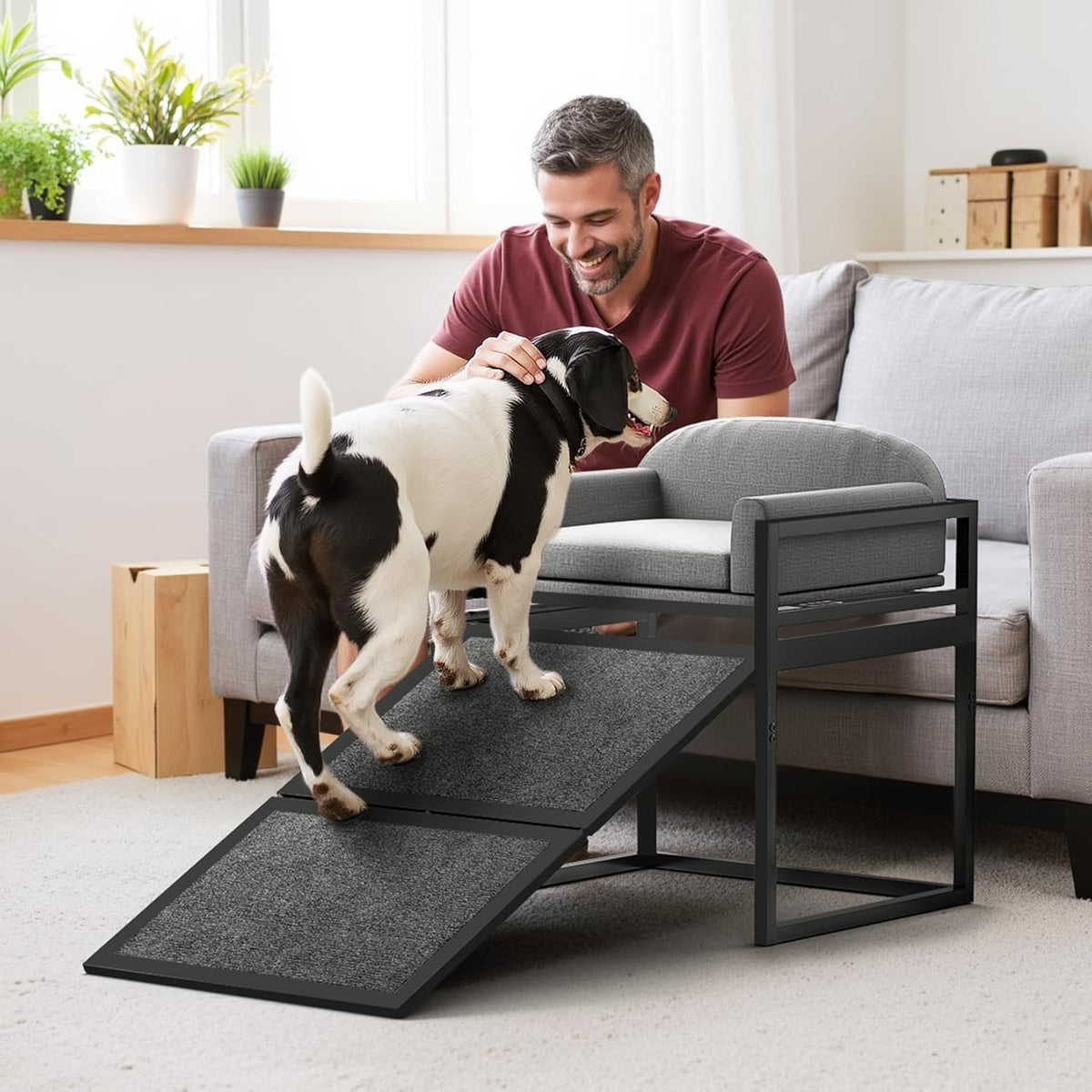 Elevated Pet Sofa Bed with Stairs Ramp for Bed Bedside Lounge or Dog Window Perch