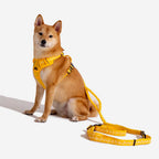 FUNNYFUZZY Reflective Adjustable Outdoor Dog Harness - Flexi Walker