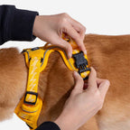 FUNNYFUZZY Reflective Adjustable Outdoor Dog Harness - Flexi Walker