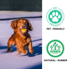 Tennis Ball Dog Toy - Squeaky & Bounce