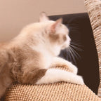 Adjustable Faux Sisal Scratch-Resistant Sofa Armrest Protector Cover for Cats