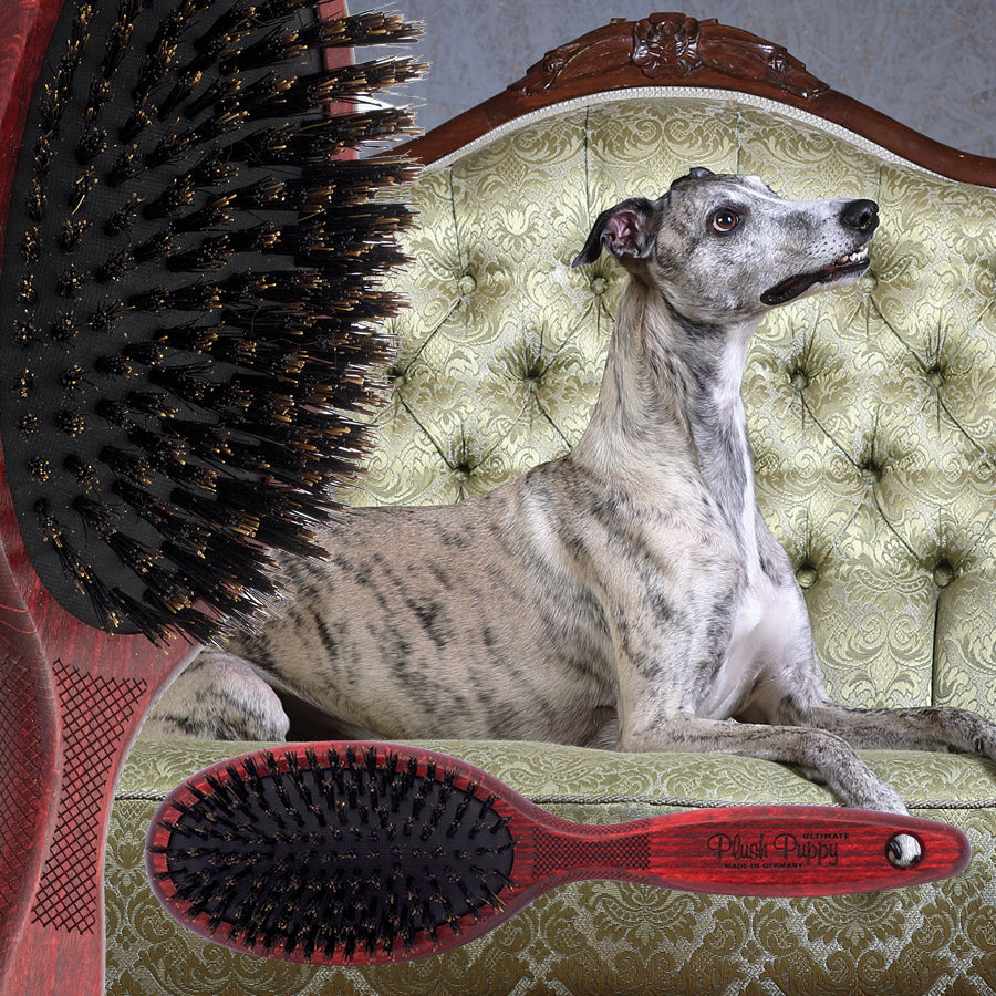 Plush Puppy Ultimate Pure Boar Bristle Brush Ultimate Grooming Brush