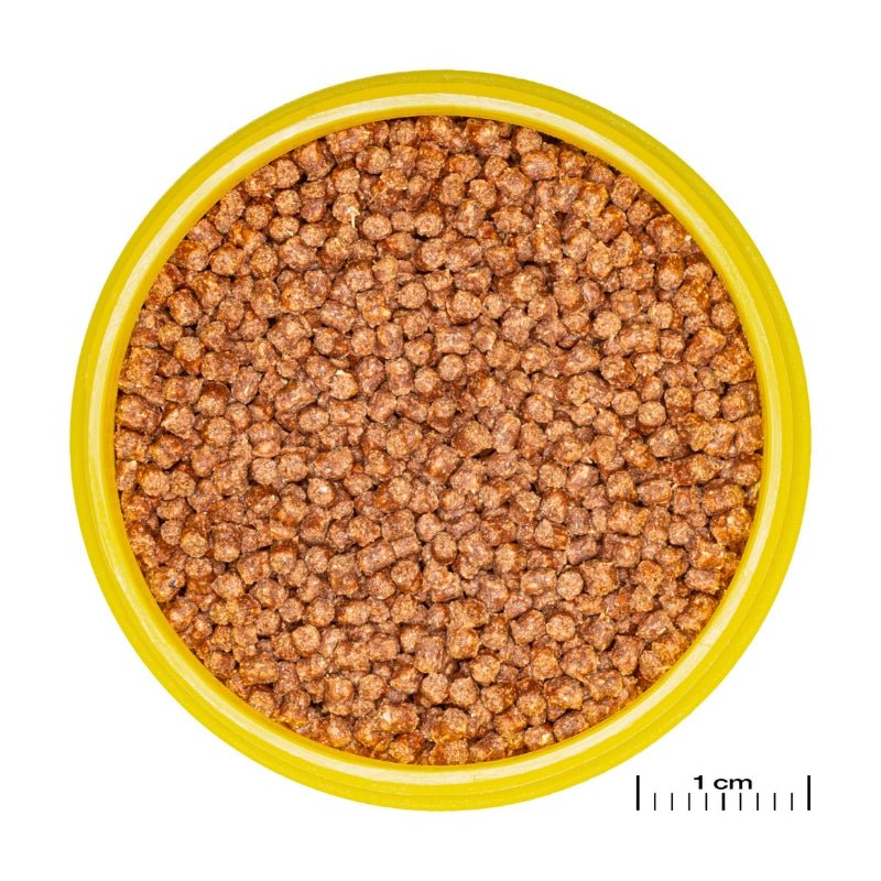 JBL ProNovo FanTail Grano S / M (Colour Enhancing Sinking Pellet For Goldfish)