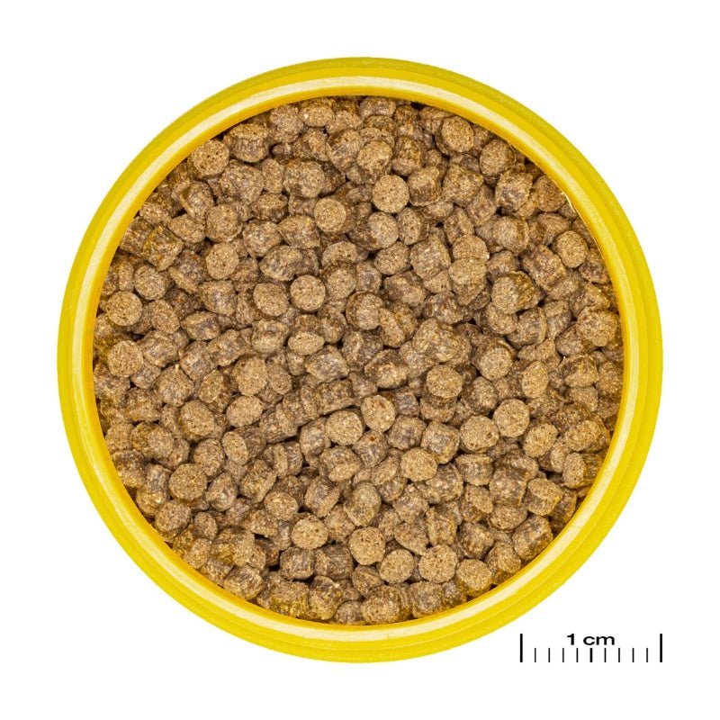 JBL ProNovo FanTail Grano S / M (Colour Enhancing Sinking Pellet For Goldfish)