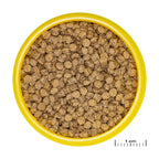JBL ProNovo FanTail Grano S / M (Colour Enhancing Sinking Pellet For Goldfish)
