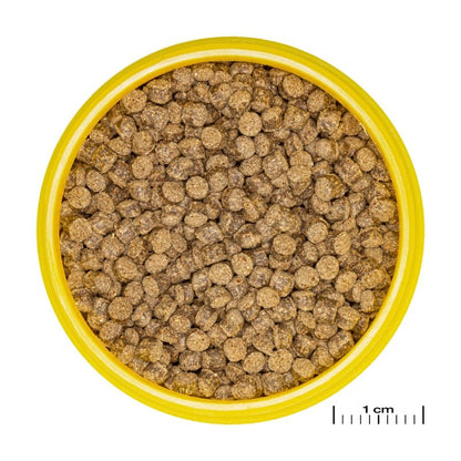 JBL ProNovo FanTail Grano S / M (Colour Enhancing Sinking Pellet For Goldfish)