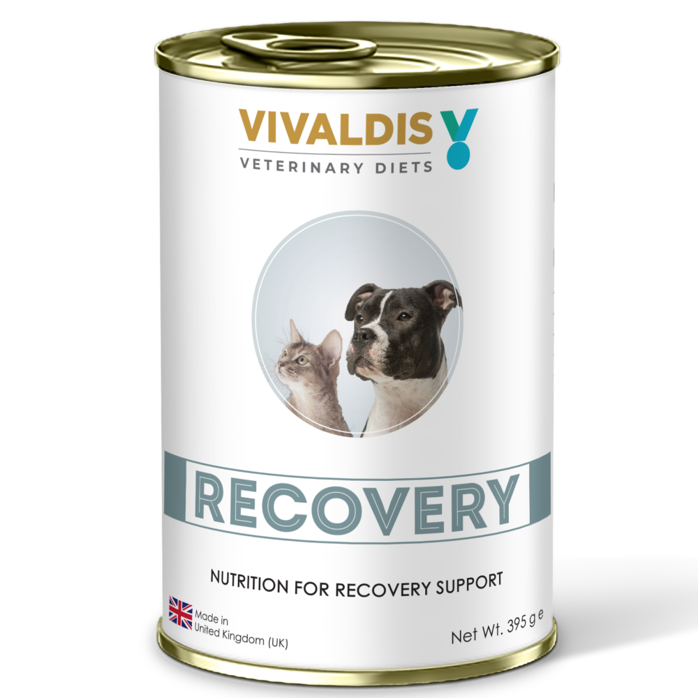 Vivaldis V Diet Recovery Diet Dog and Cats Wet Food
