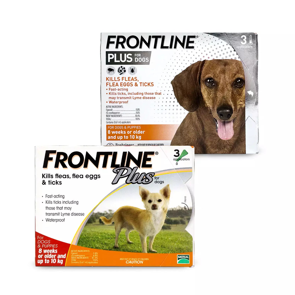 Frontline Plus for Dogs