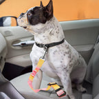 Gradient Elastic Shock-Absorbing Pet Car Safety Belt