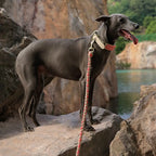 Heavy-Duty Hand-Woven Nylon Dog Leash for Medium and Large Dogs