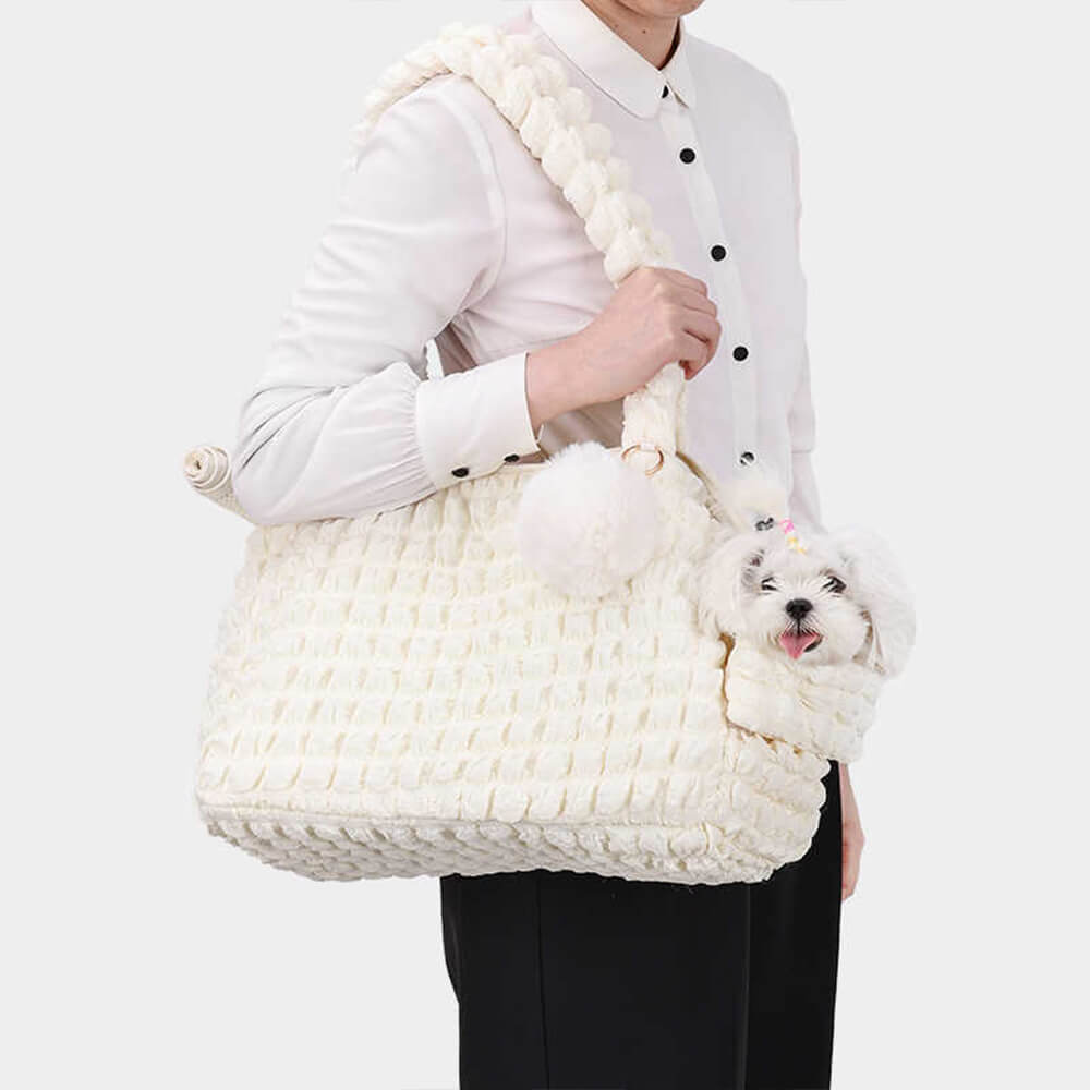 Trendy Cozy Lightweight Cat Carrier Breathable Detachable Pet Carrier Shoulder Bag