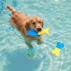 Water-Fillable Freezable Teething Cooling Dog Chew Toy