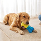 Water-Fillable Freezable Teething Cooling Dog Chew Toy