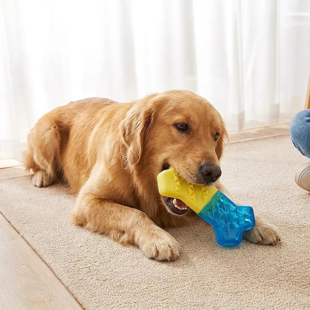 Water-Fillable Freezable Teething Cooling Dog Chew Toy