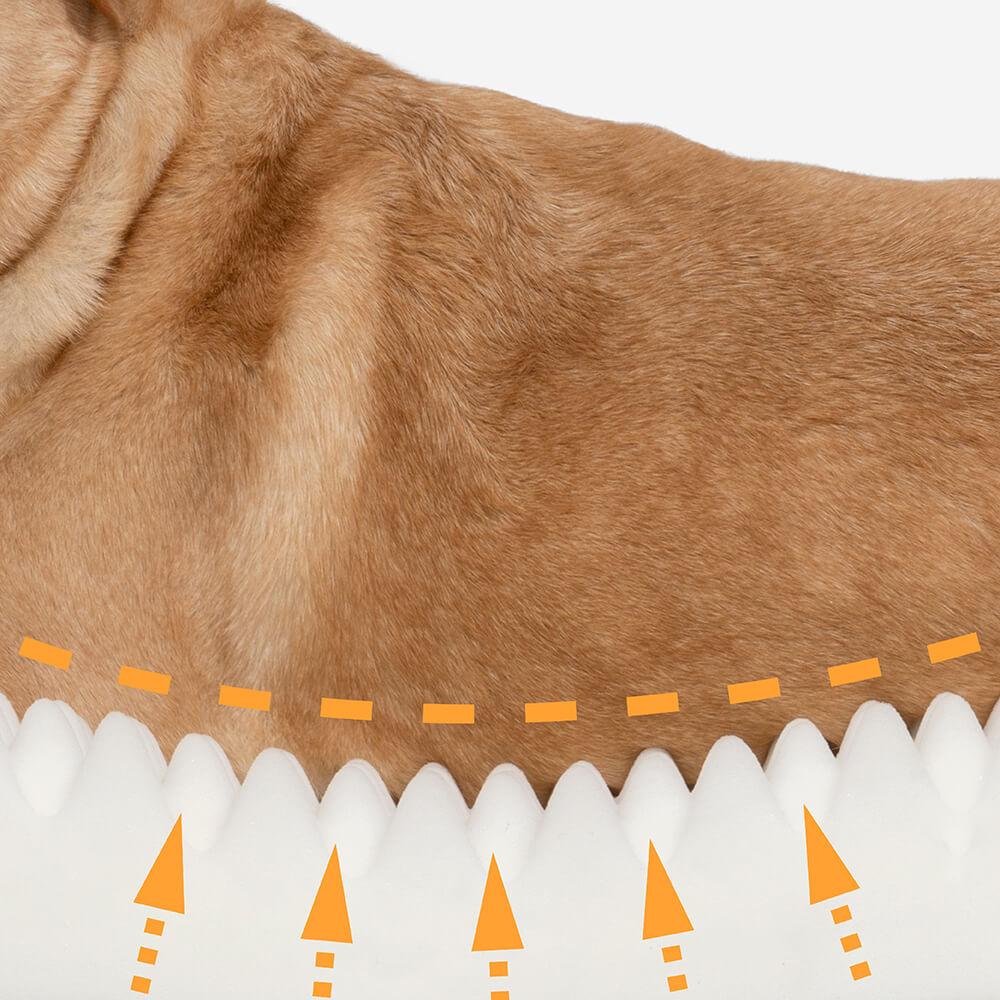 Donut Fluffy Orthopedic Cat Bed Dog Bed