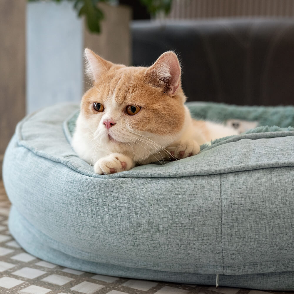 Donut Fluffy Orthopedic Cat Bed Dog Bed