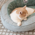 Donut Fluffy Orthopedic Cat Bed Dog Bed