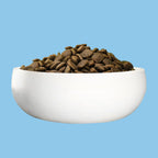 Green Petfood - InsectDog Hypoallergenic Dry Food with Insects