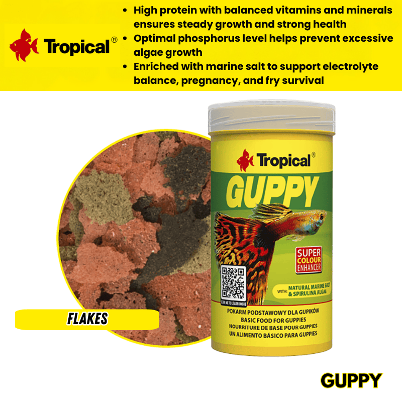 Tropical Guppy Flakes (colour enchancing)