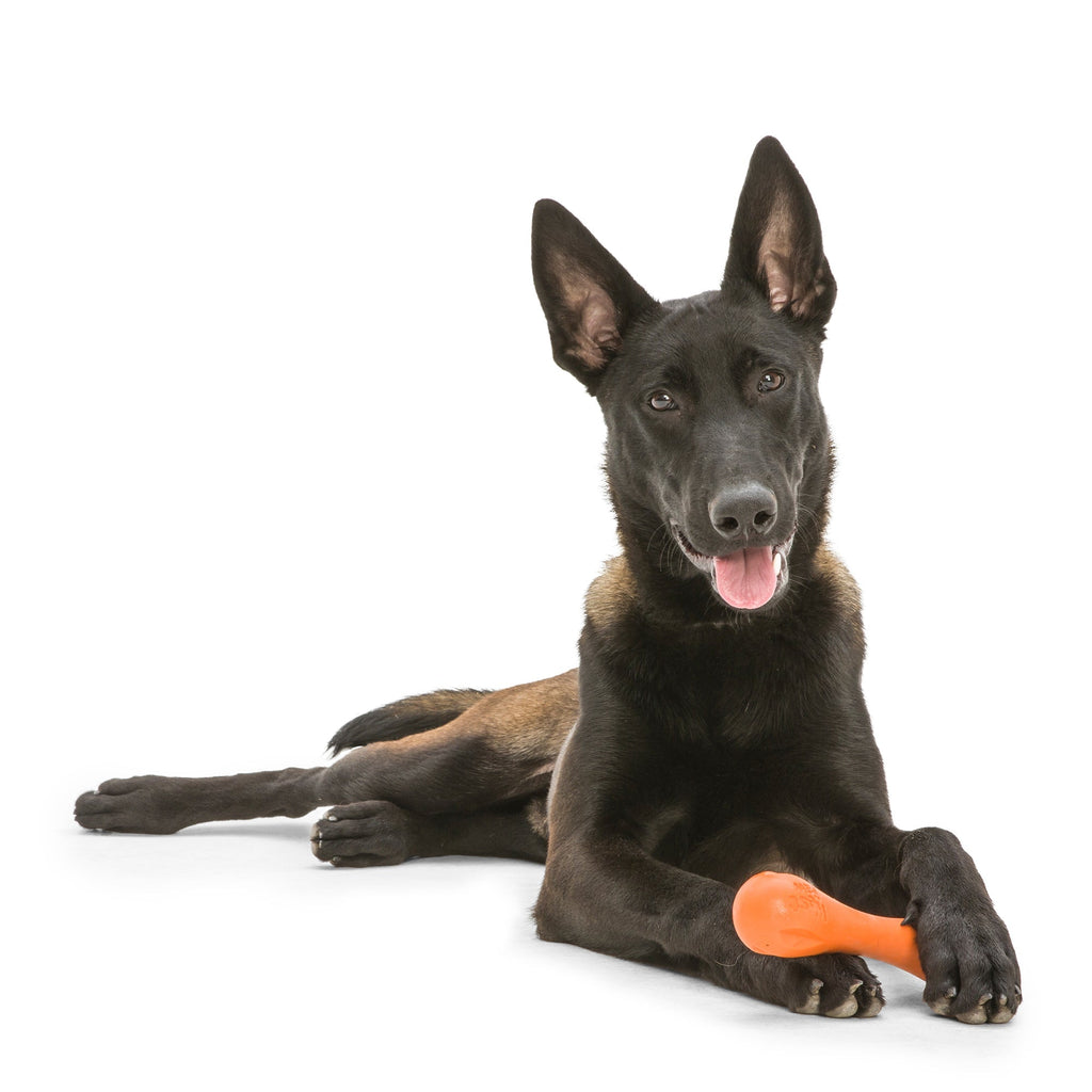 West Paw Hurley Fetch Dog Toys