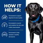 Hill's Prescription Diet - Canine d/d Skin Sensitivities "Potato & Salmon" 8lbs