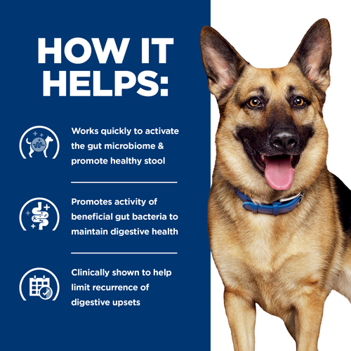 Hill's Prescription Diet - Canine Gastrointestinal Biome Chicken & Vegetable Stew