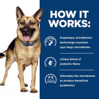Hill's Prescription Diet - Canine Gastrointestinal Biome Original Bite 16lbs