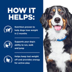 Hill's Prescription Diet - Canine J/D Metabolic Plus (Metabolic & Mobility)