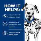 Hill's Prescription Diet - Canine u/d Urinary Care 13oz