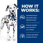 Hill's Prescription Diet - Canine u/d Urinary Care 13oz