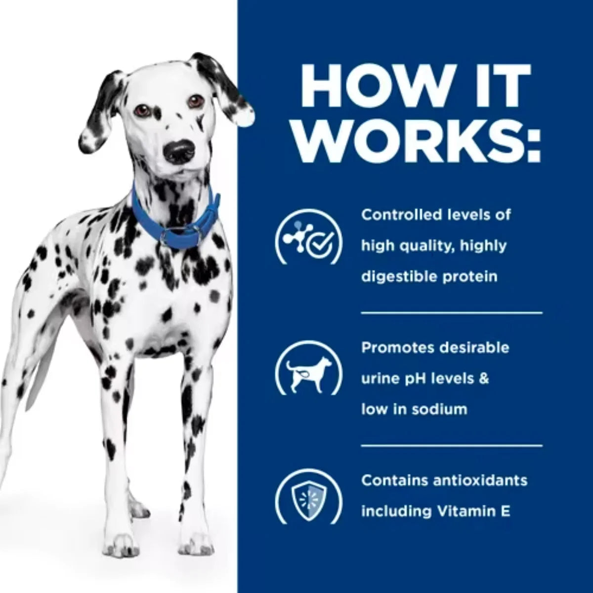 Hill's Prescription Diet - Canine u/d Urinary Care 13oz
