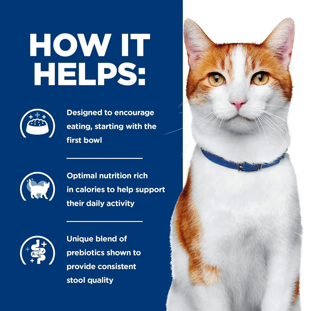 Hill's Prescription Diet - Feline ONC Cancer Care Chicken & Vegetable Stew 2.9oz*