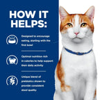 Hill's Prescription Diet - Feline ONC Cancer Care*